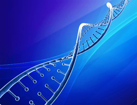 Removing DNA Contamination