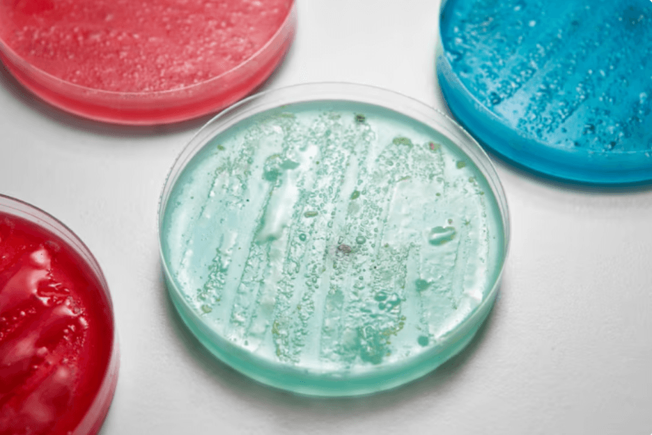 Best Practices for Studying CD1