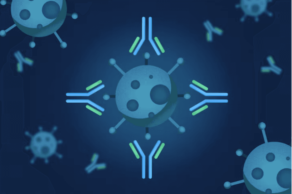 CD1-Mediated Lipid Antigen Presentation