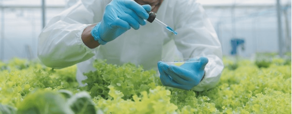 Tissue Culture Media