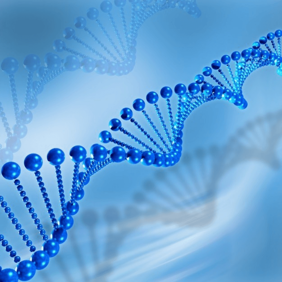 Upholding RNA Integrity