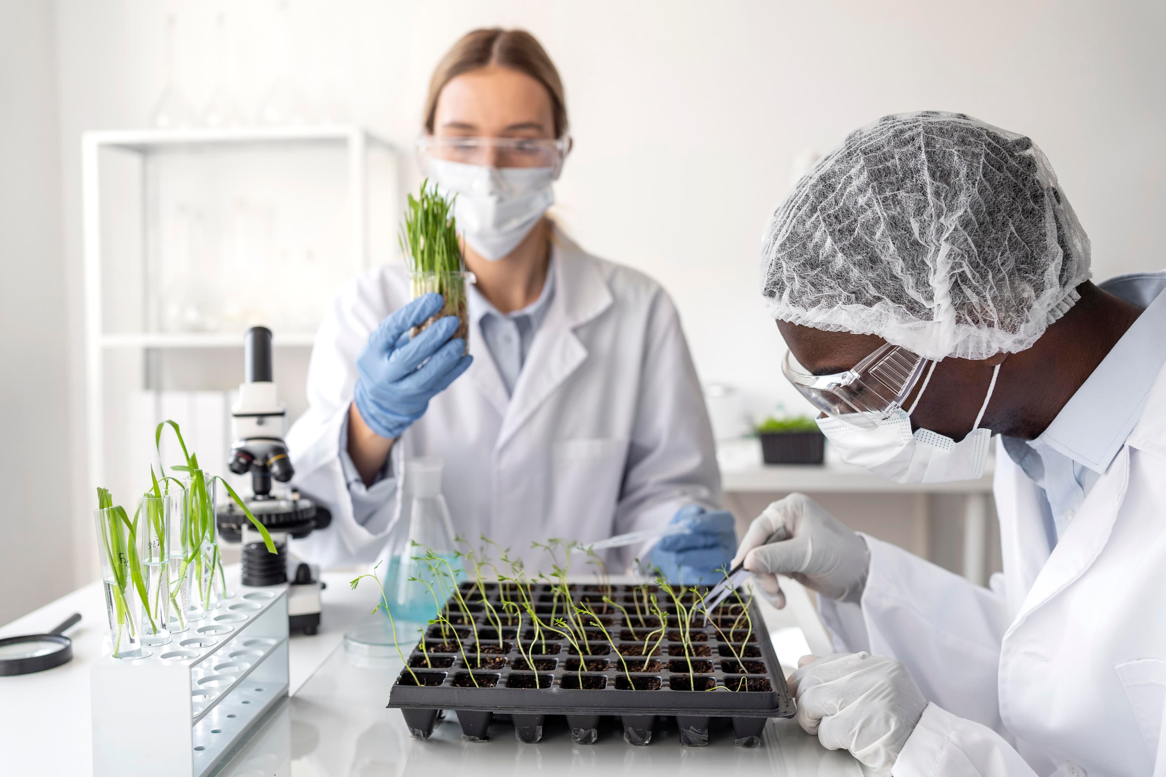 Tissue Culture In Biotechnology Research