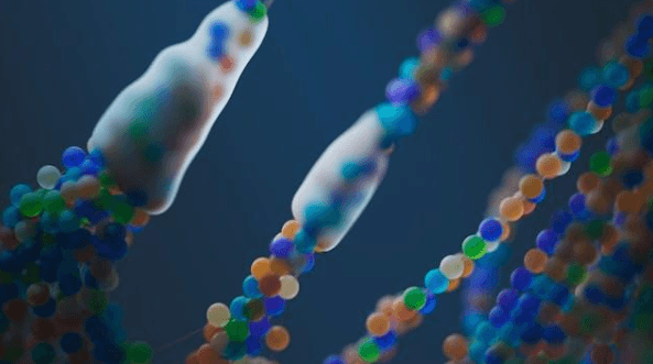 IL-2 Immunotherapy Clinical Trials