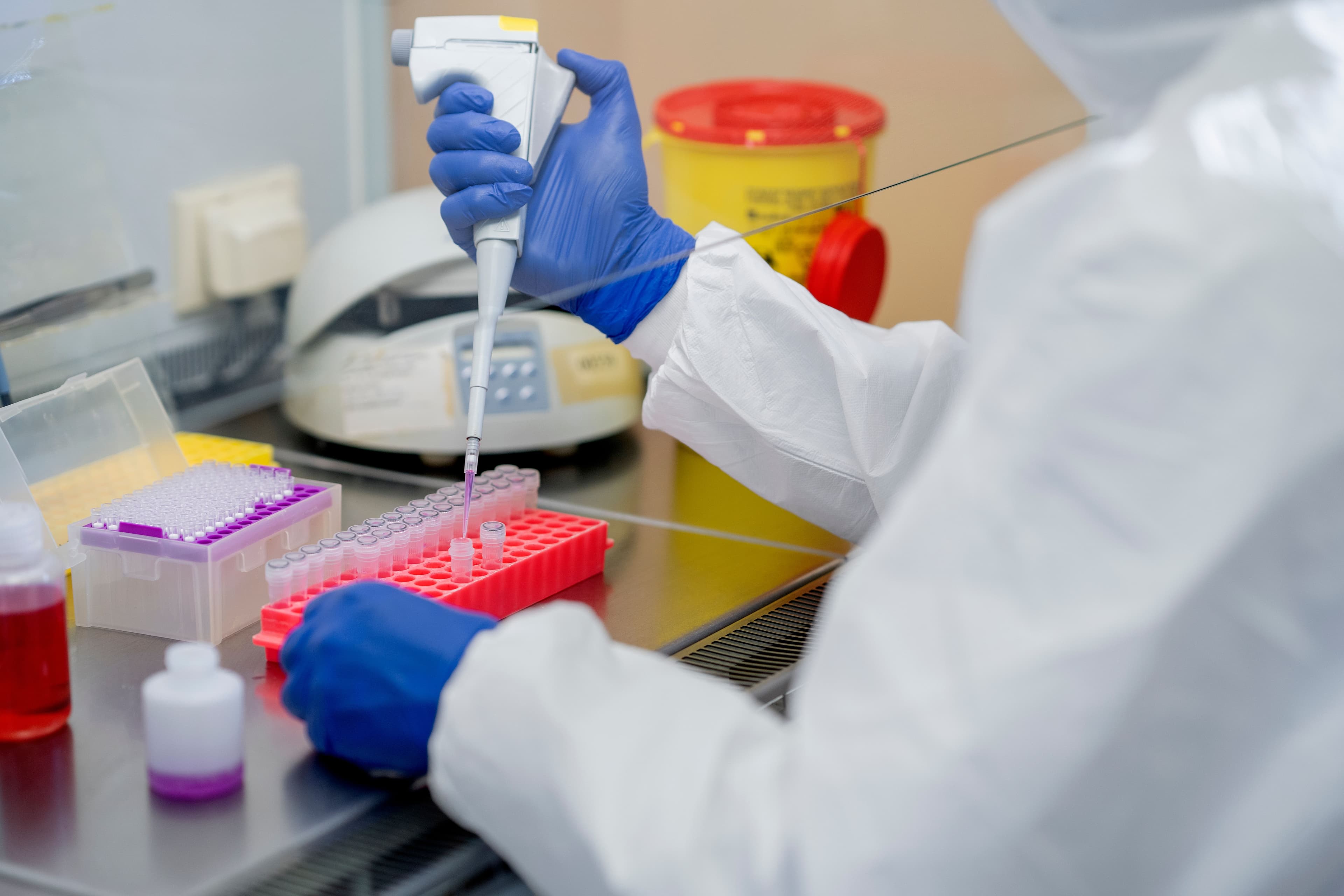 Understanding ELISA Test