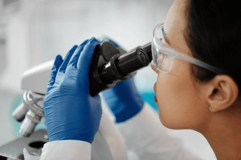 HaCaT Calcium Switch Differentiation