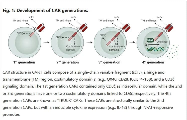 Development of CAR generations. Cells are showing expressing different generation of receptors showing how they produce cytokines