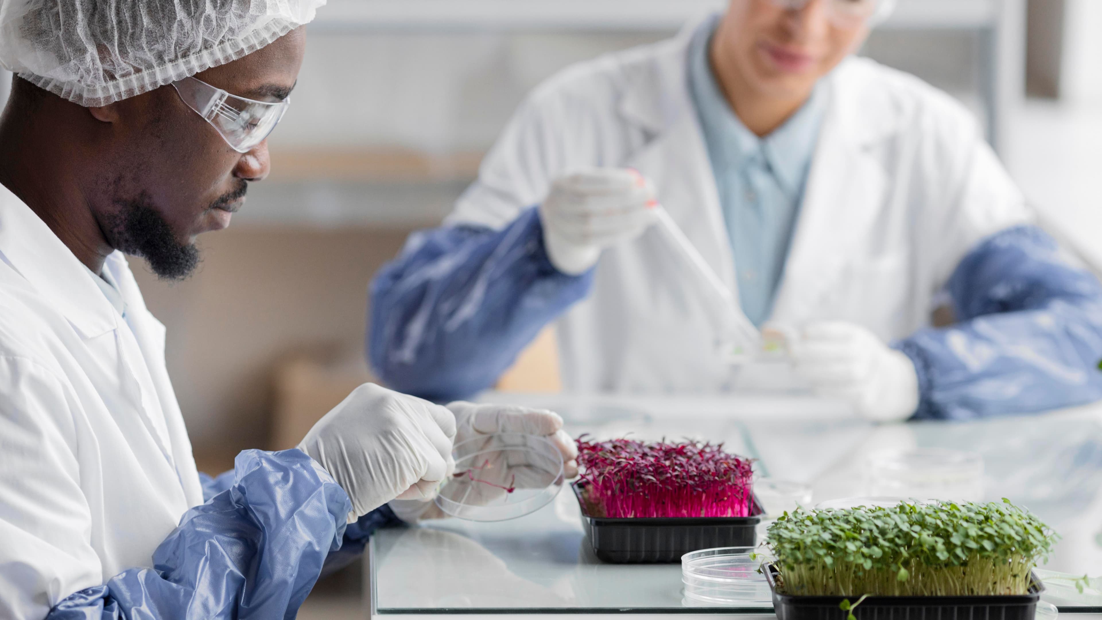 How Tissue Culture Works