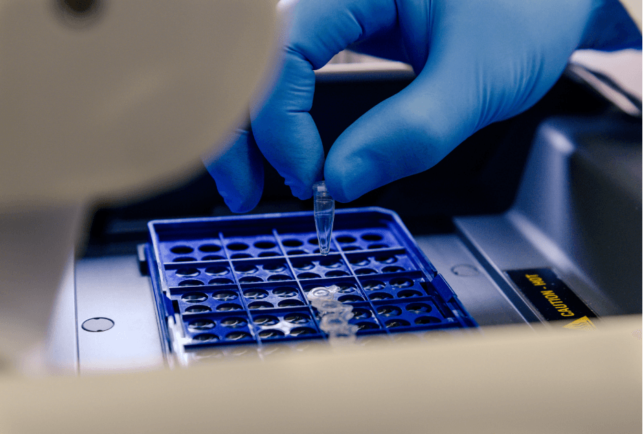 ELISA kit supplier