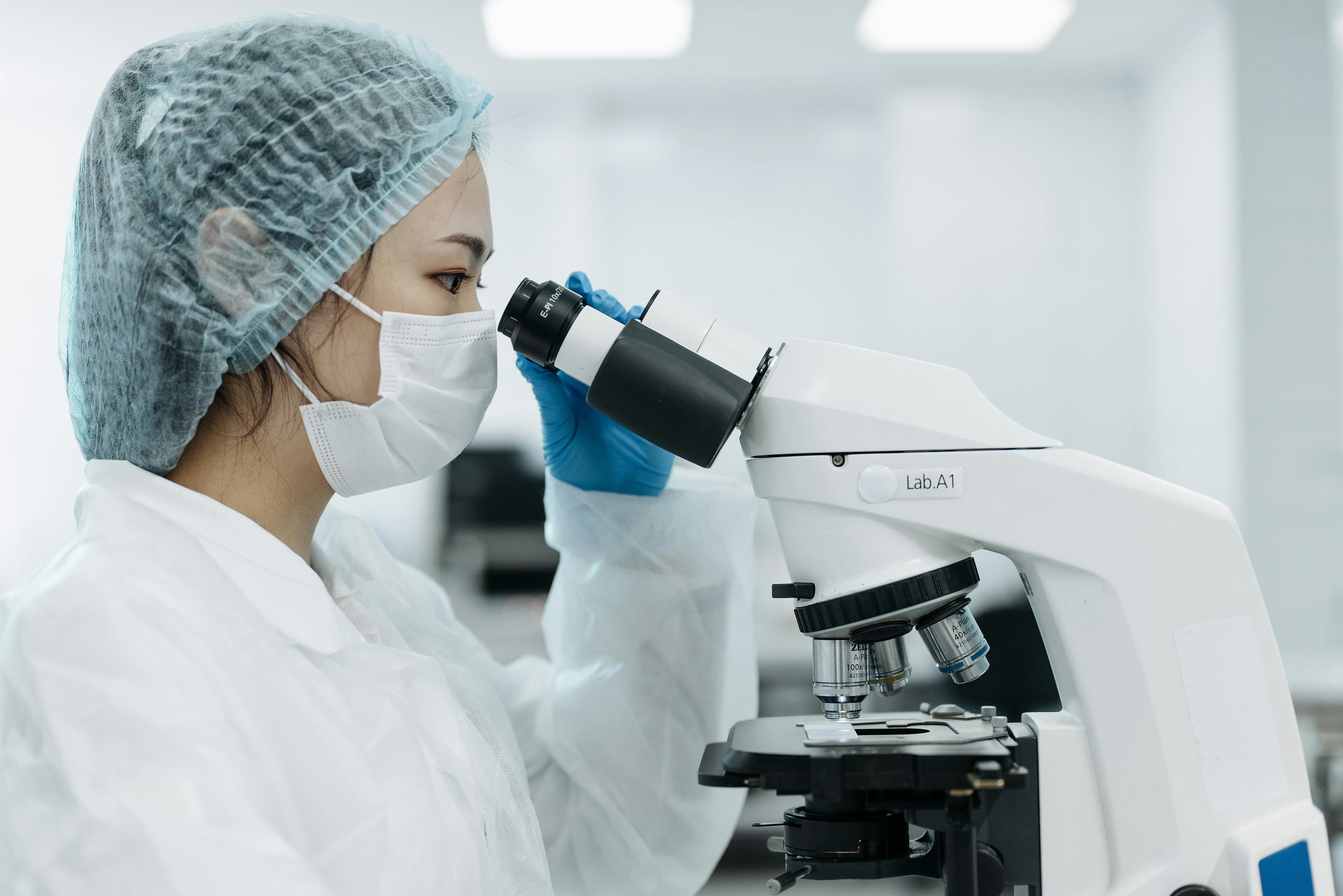 Versatility of HepG2 Cell Applications