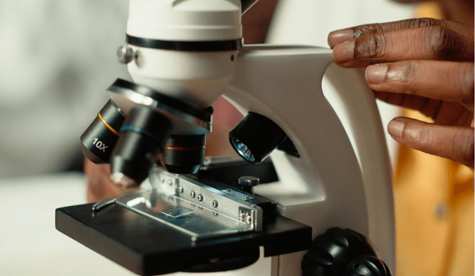 Specific Cells Lines