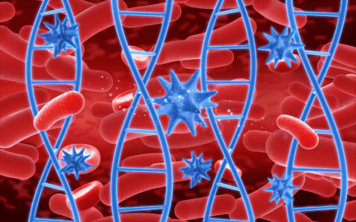 Design and Interpretation of Wound Healing Models Using HaCaT