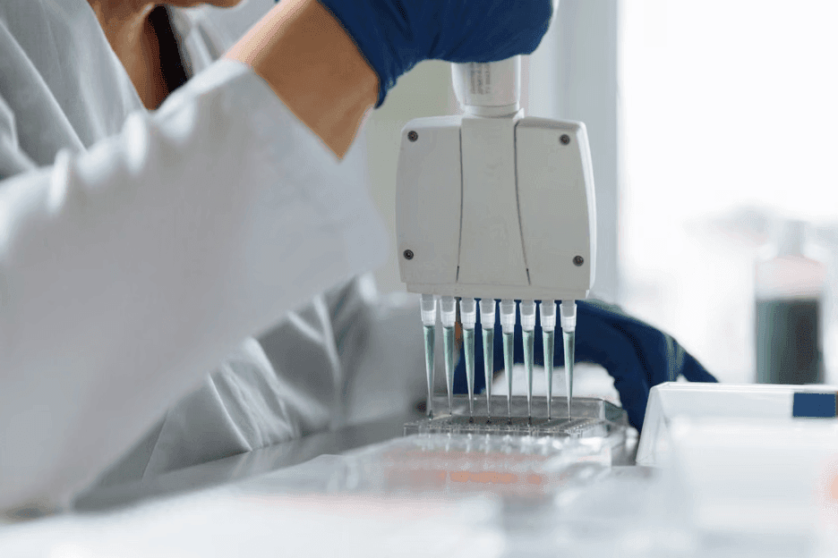 Function in RNA Purification