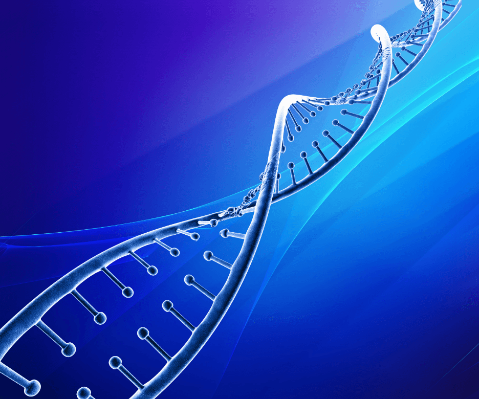DNase inactivation processes
