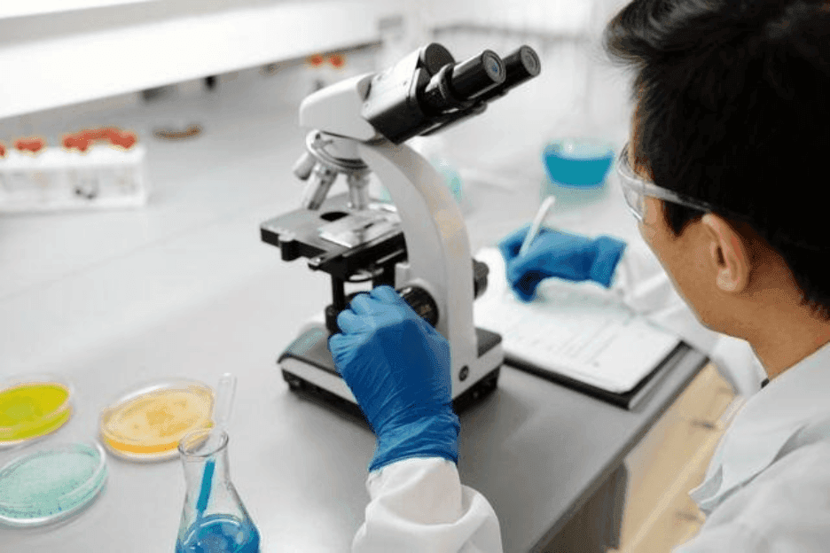 HaCaT Passage Limits and Phenotype Drift