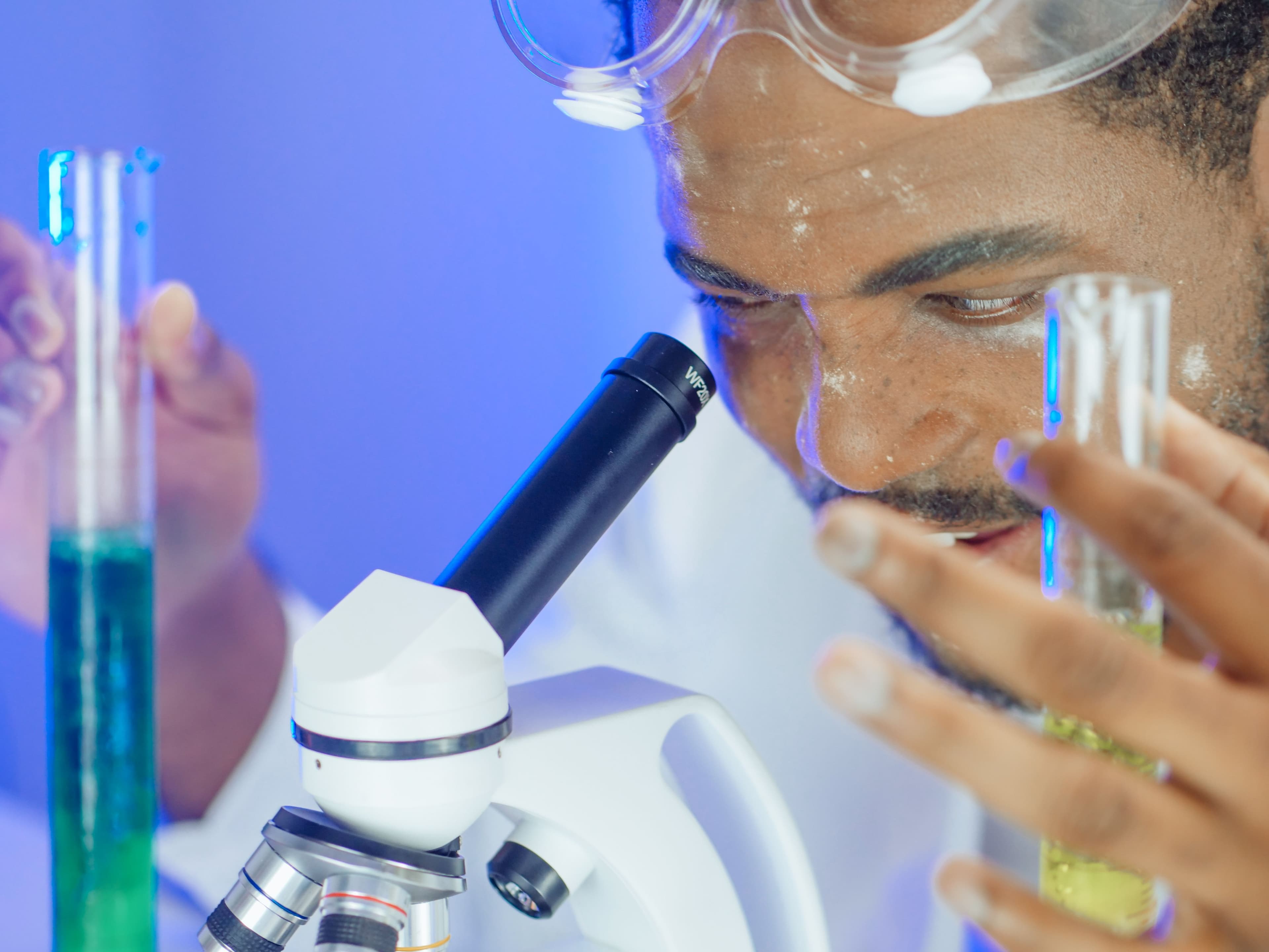 HepG2 ATCC status and cell line standardization