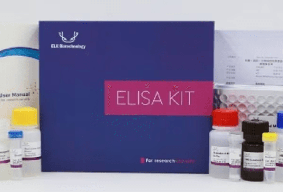 ELISA Kit Components and Laboratory Testing Process