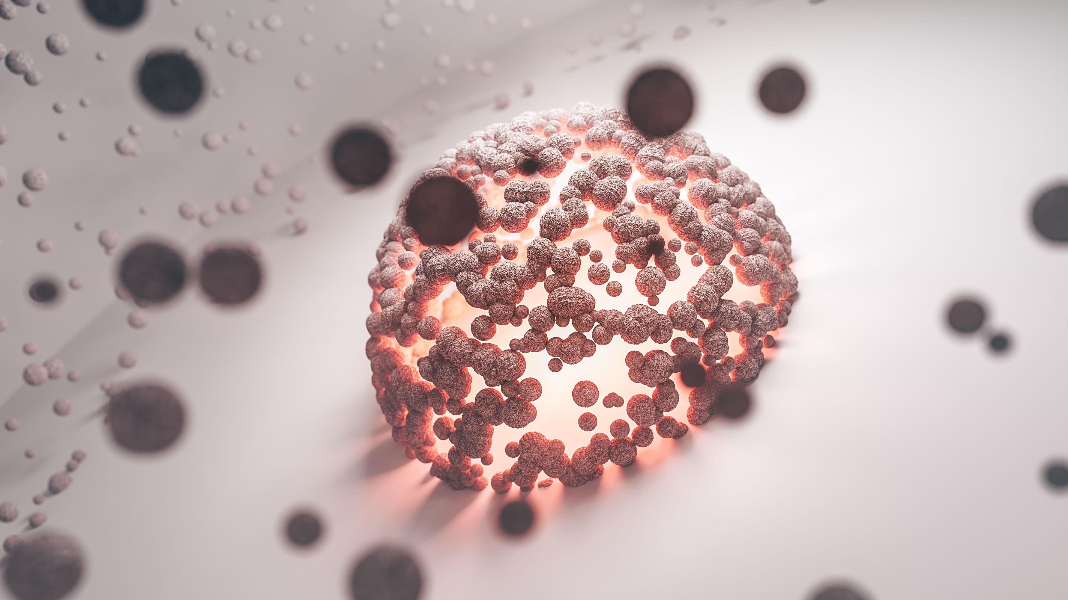 What IL-2 does inside the body