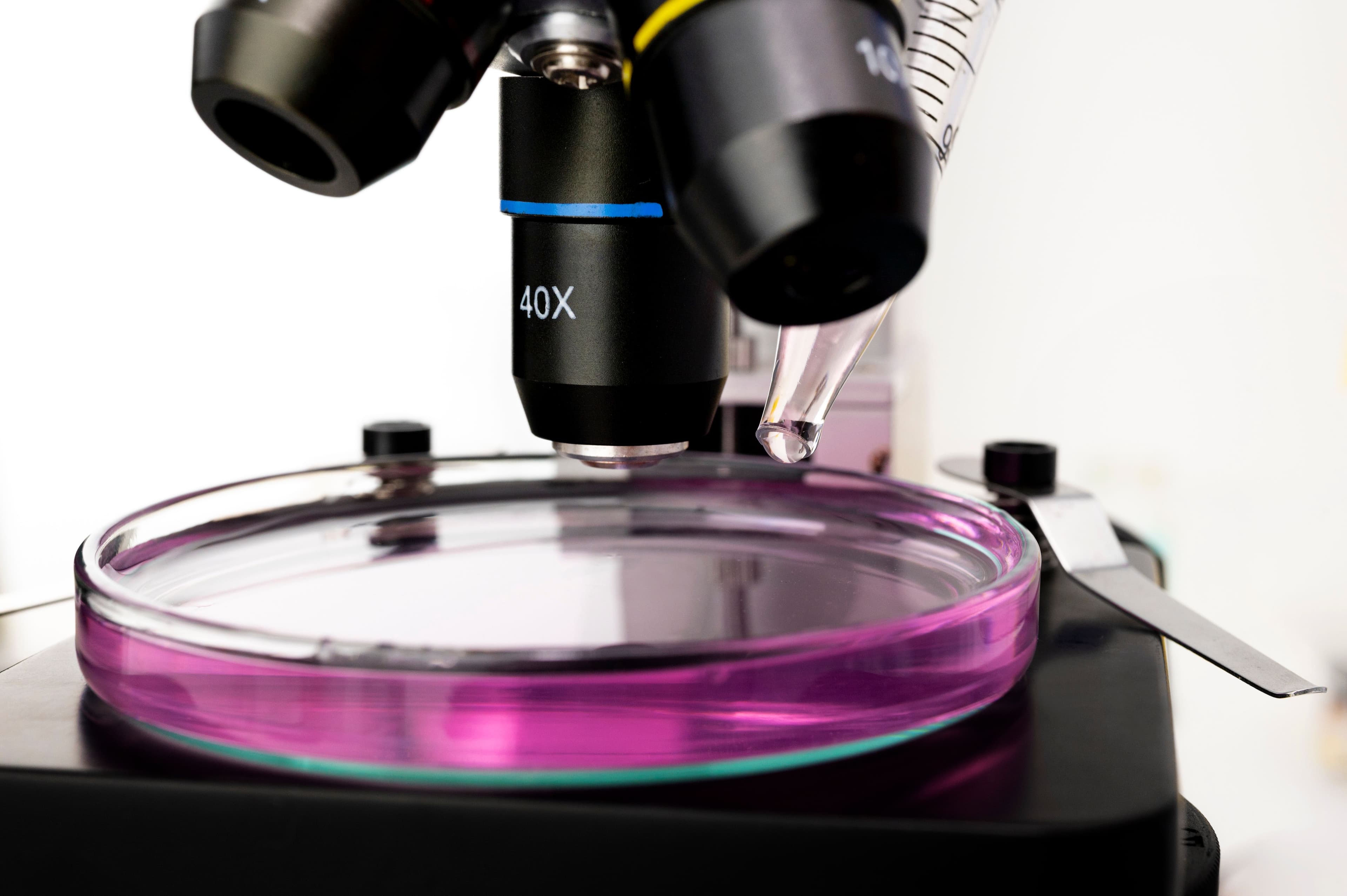 DMEM medium applications in laboratory research