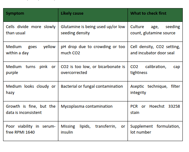 The Most Common RPMI 1640 Cell Growth Problems