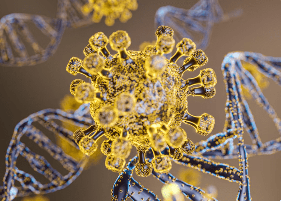 CD1 Isoforms and Their Specialized Functions