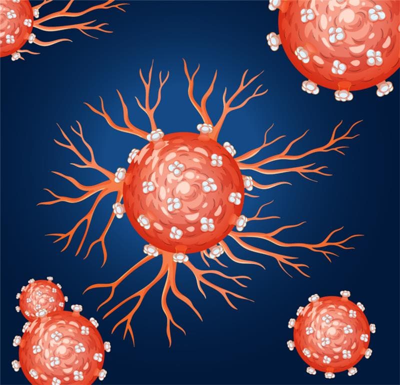 Dmem Icon What Is DMEM Medium Used For In Cell Culture? A Complete Research Guide ...
