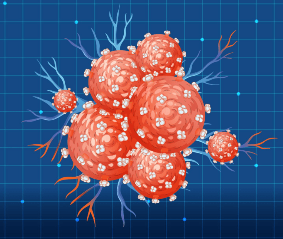 Dmem Sticker What Is DMEM Medium Used For In Cell Culture? A Complete Research Guide ...