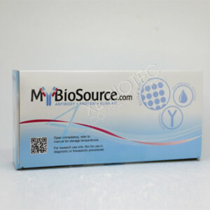 Cyclooxygenase 2 (COX2), ELISA Kit