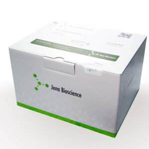 Total RNA Purification Kit