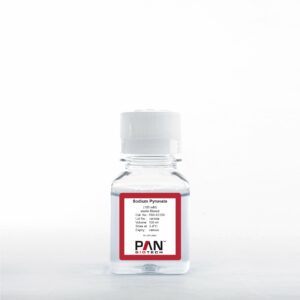 Sodium pyruvate 100 mM