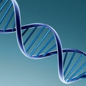 gDNA Removal Kit