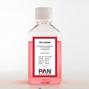 Clear plastic bottle with white cap containing pink solution of accutase.