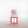 Accutase Cell Detachment Solution, w: 0.5 mM EDTA, w: Phenol red