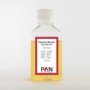 Human Serum, Type AB, male, sterile filtered