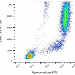 Human PBMCs stained for flow cytometry with antibody specific for myeloperoxidase
