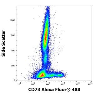 Anti-Hu CD73 Alexa Fluor® 488
