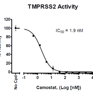TMPRSS2 Fluorogenic Assay Kit