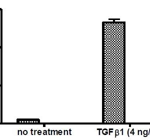 No treatment