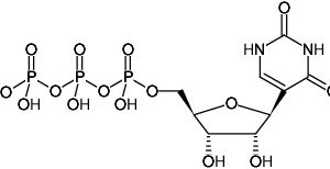 Chemical schematic of Pseudo-UTP molecule