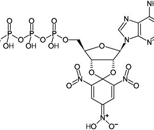 TNP-ATP