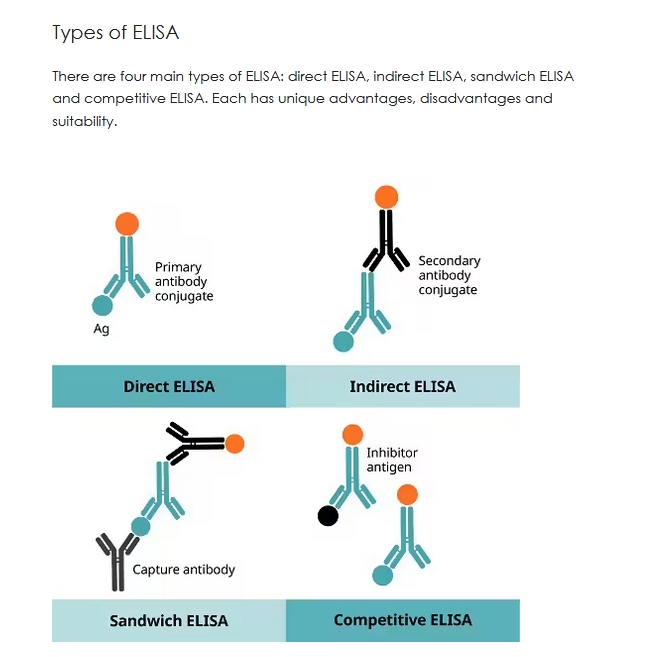 best elisa type sandwich