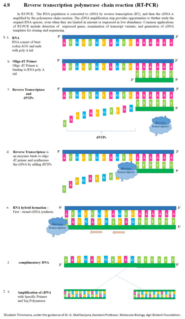 PCR Technology Research Diagnostics