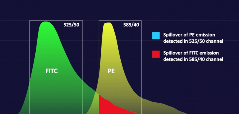 Spectral overlap of Fitc and PE