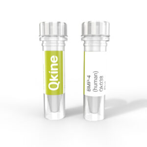 Recombinant Human BMP-4 protein (Qk038)