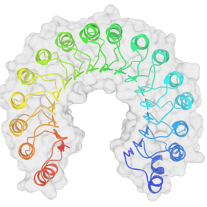 สารยับยั้ง RNase - รีคอมบิแนนท์, แอลแพ็ค