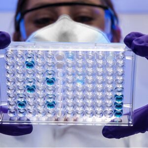 ชุดทดสอบ ELISA RNA โพลิเมอเรส T7